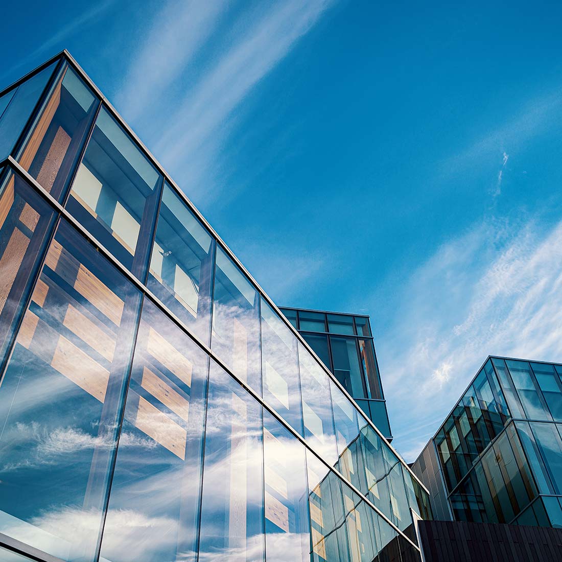 Avada Investment Capability